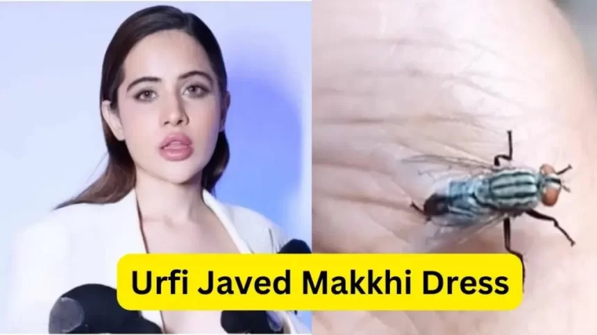Urfi Javed Makkhi Dress