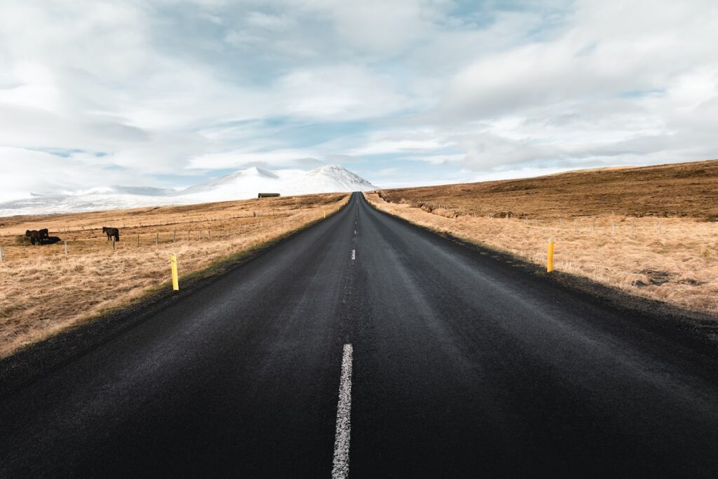 black asphalt road at middle of brown field