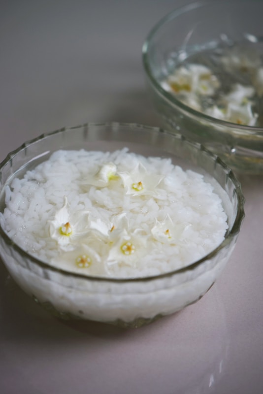 Rice Water for Skin