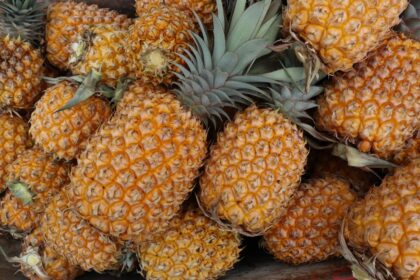 Benefits of Eating Pineapples