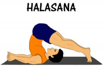 Halasana