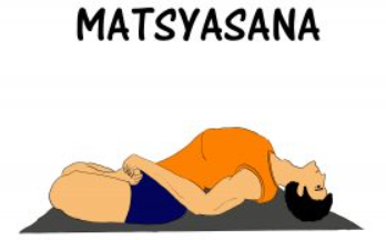 Matsyasana 