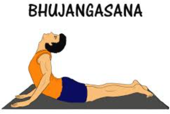 Bhujangasana