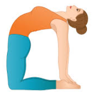 Ustrasana 