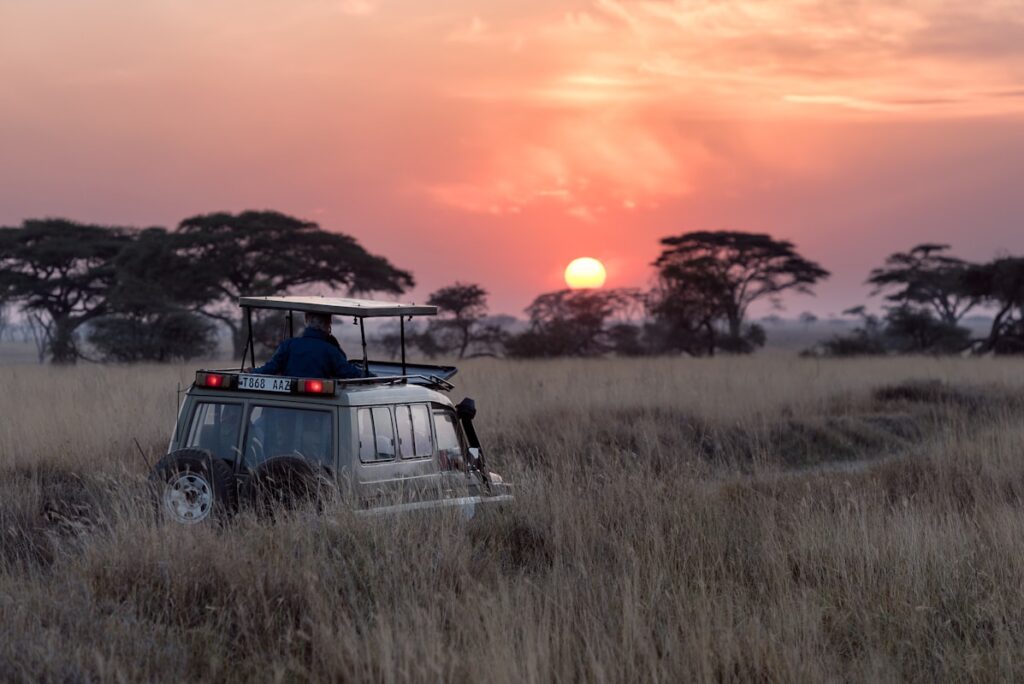 Jawai Leopard Safari